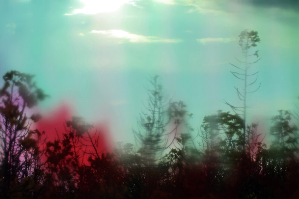 Stephanie Baden, hidden landscape - verborgene Landschaft 12, 2015/2022 Foto: © VG Bild-Kunst, Bonn 2025