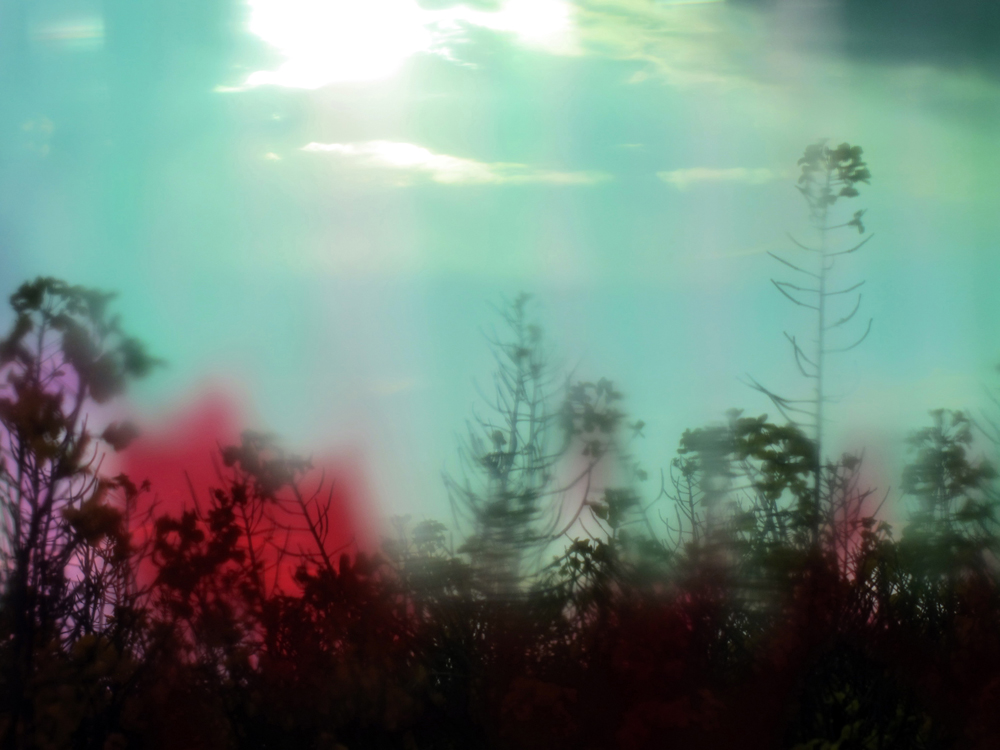 Stephanie Baden, hidden landscape - verborgene Landschaft 12, 2015/2022 Foto: © VG Bild-Kunst, Bonn 2025